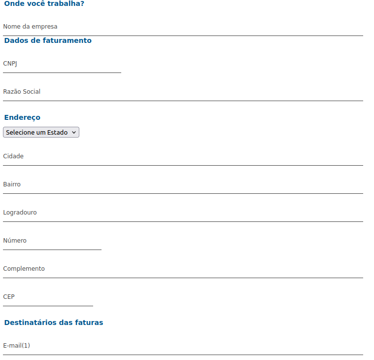 Captura de tela de um formulário preenchido com dados imaginários da empresa.